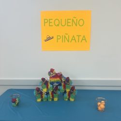 IMG_8572