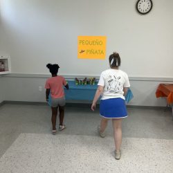 IMG_8584